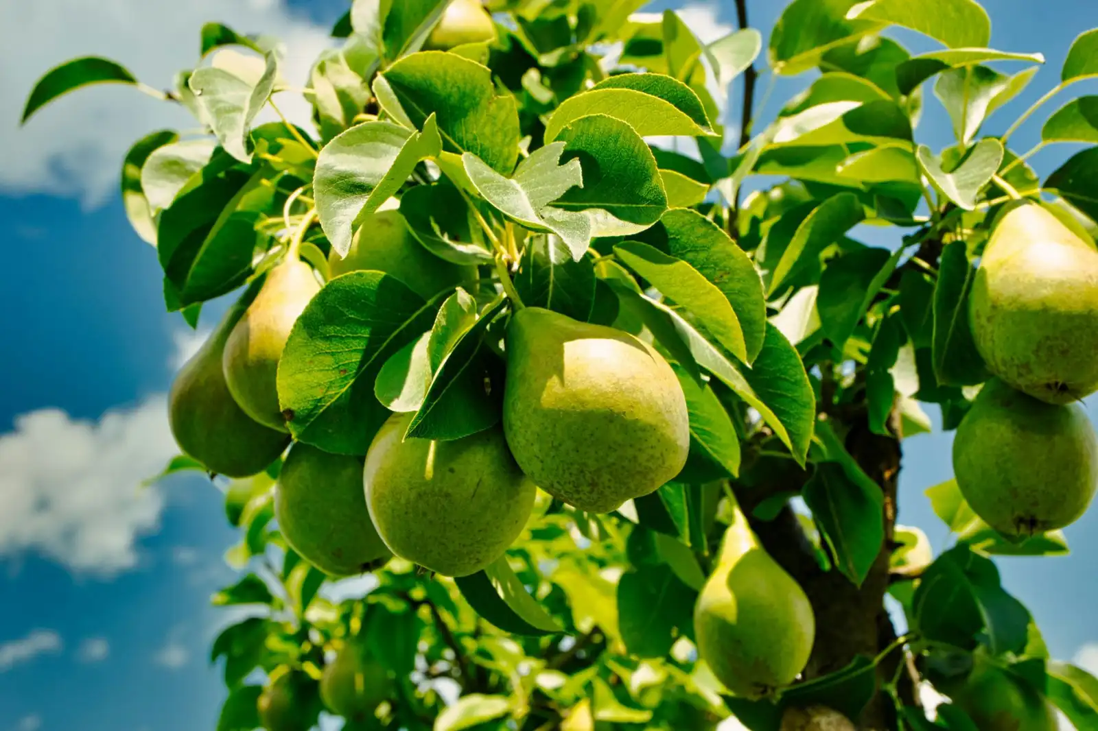 协作机器人VS传统工业机器人：产线升级方案对比