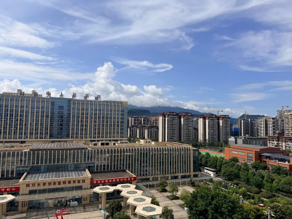 协作机器人与传统六轴工业机器人在码垛产线中的应用差异