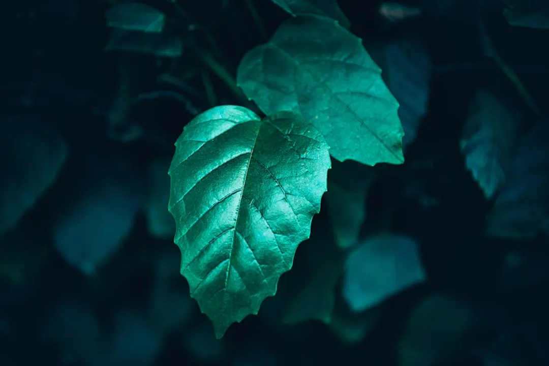 上海易樊科技六轴关节工业机器人型号参数与性能对比分析