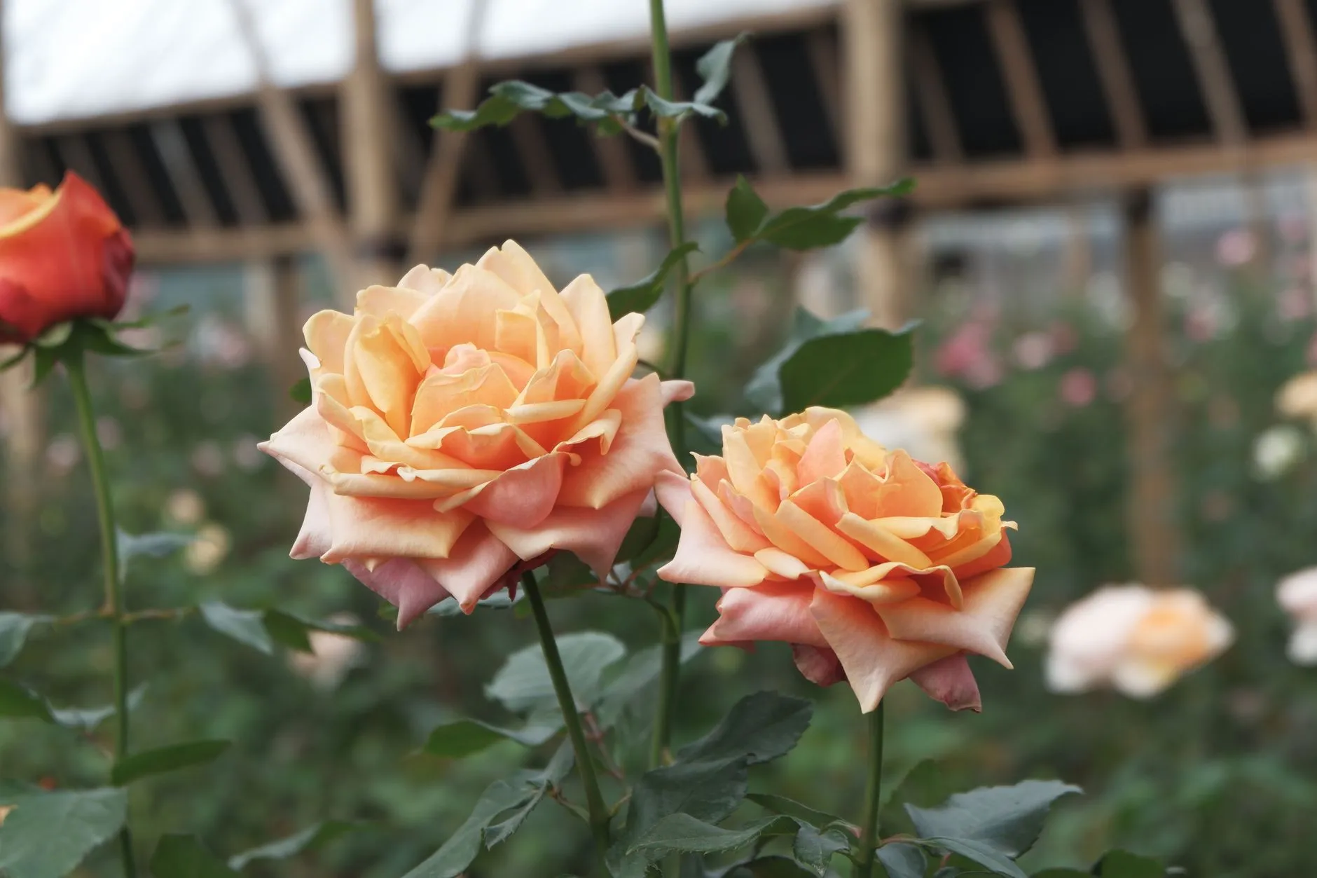 上海易樊科技六轴关节机器人焊接工站技术解析